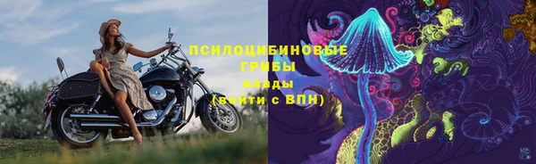 2c-b Богородицк