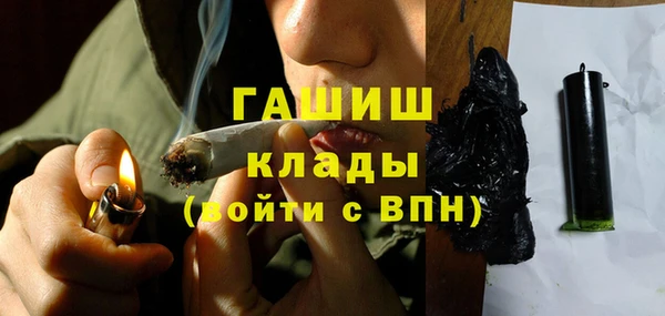 спиды Богданович
