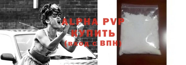 спиды Богданович
