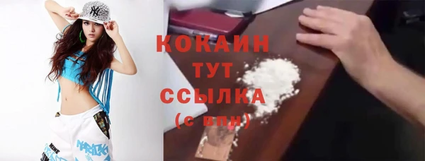 спиды Богданович
