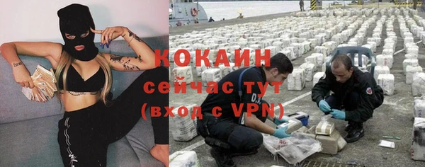 2c-b Богородицк