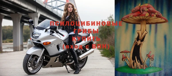 2c-b Богородицк
