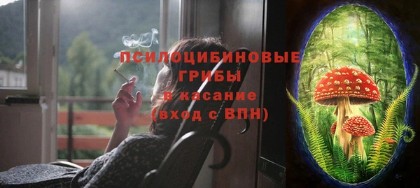 эйфоретик Богородск